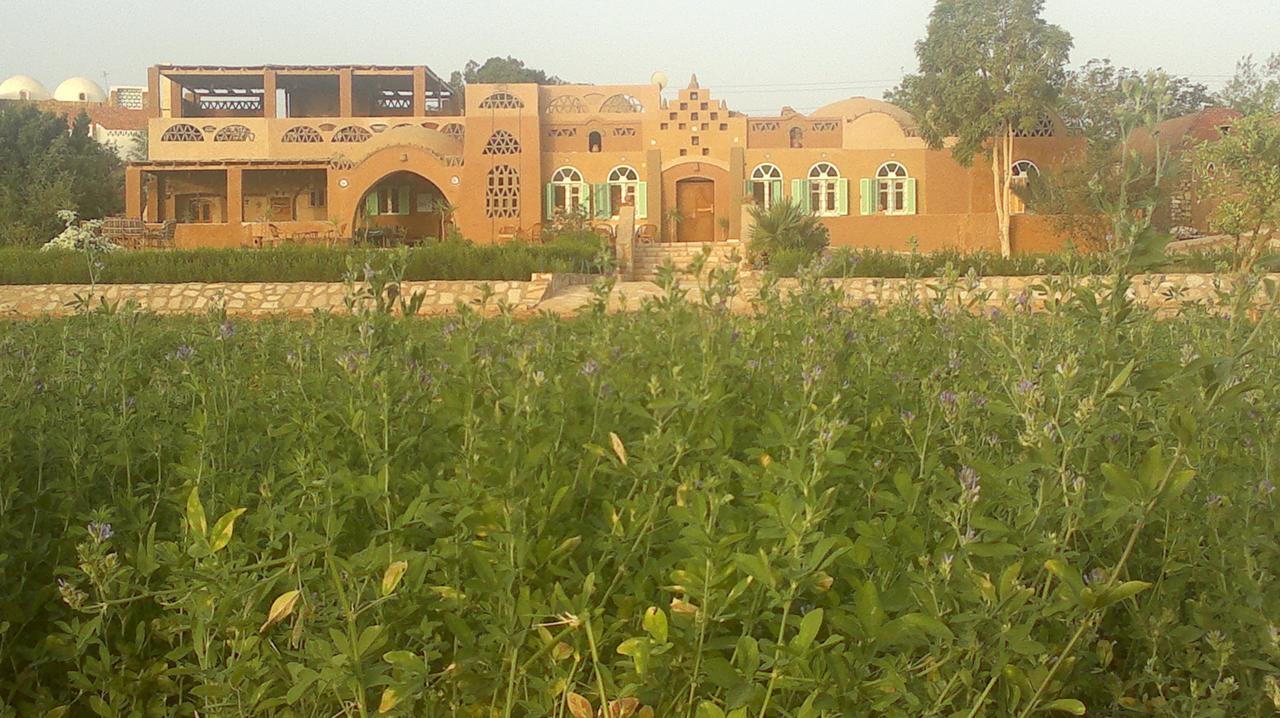 Eskaleh Eco-Lodge 阿布辛贝 外观 照片